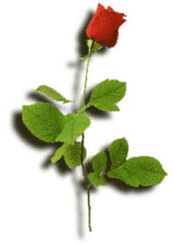 image4.gif (13244 bytes)
